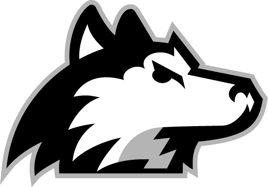 Northern Illinois Huskies 2001-Pres Alternate Logo v7 iron on transfers for clothing